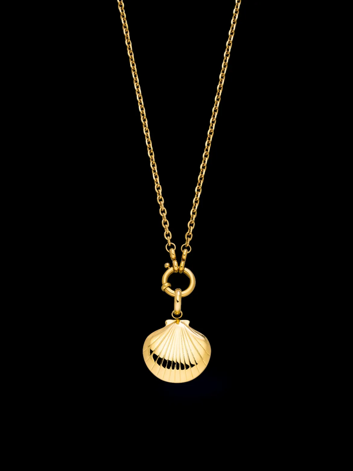 Seashell Charm
