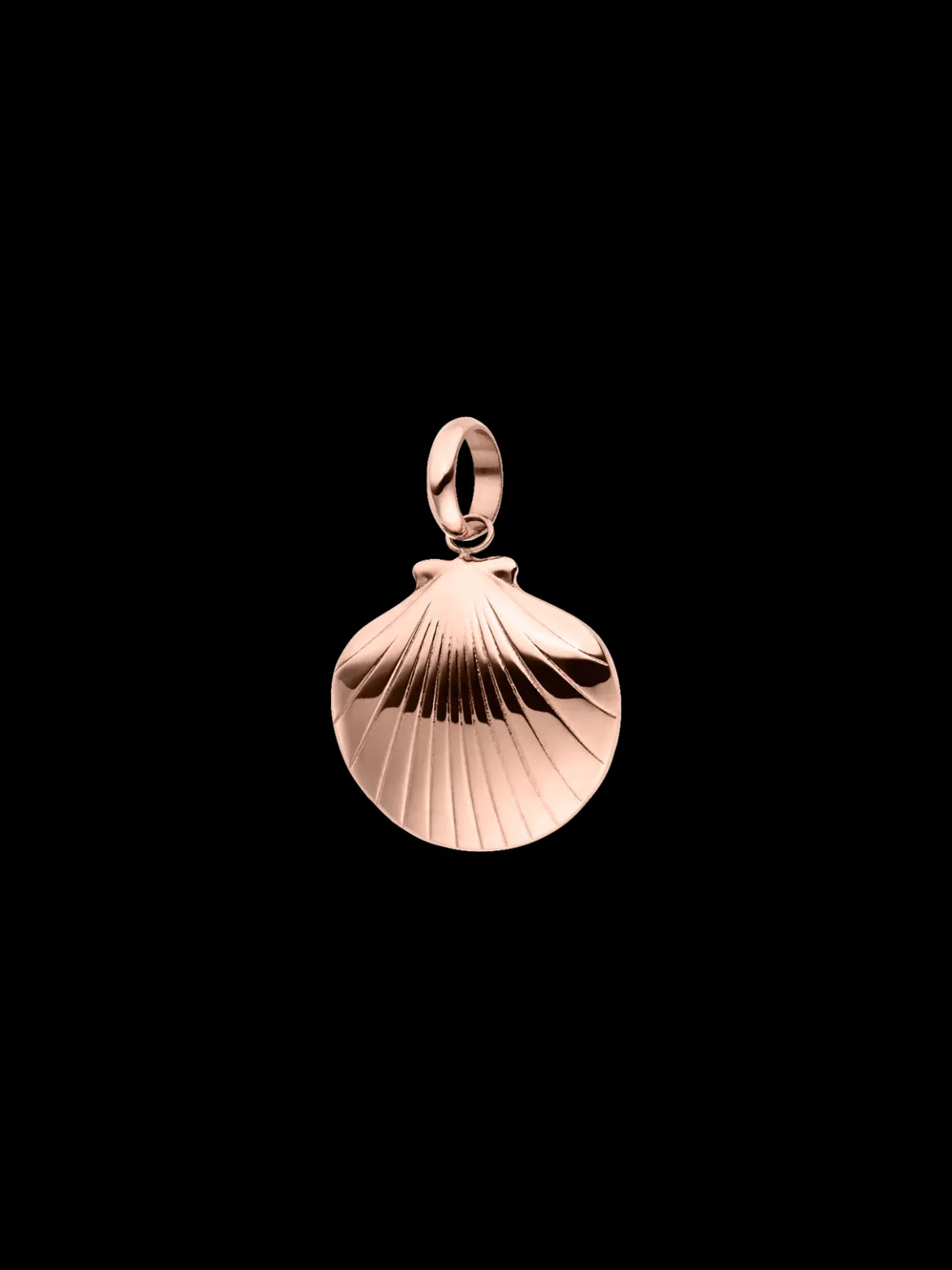 Seashell Charm